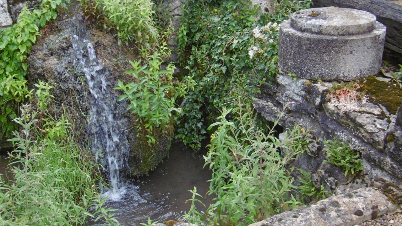 Gite Ancien Lavoir Viserny Esterno foto
